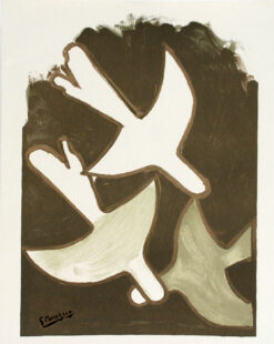 Tauben - Doves - Colombes