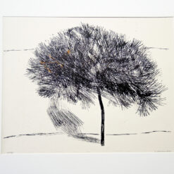 Baum im Licht mit Schatten