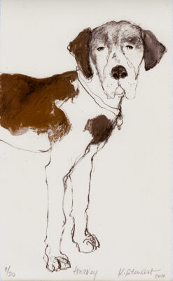 Harvey - Hunde mit Persönlichkeit